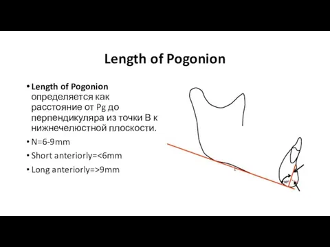 Length of Pogonion Length of Pogonion определяется как расстояние от Pg до