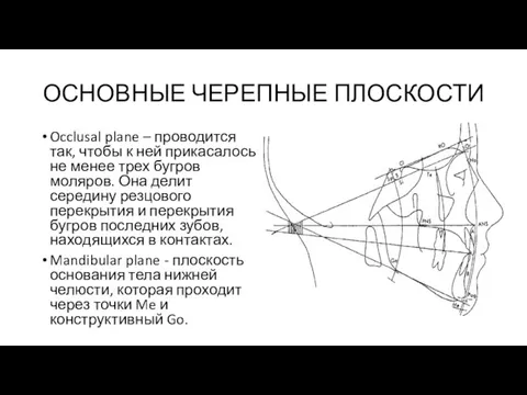 ОСНОВНЫЕ ЧЕРЕПНЫЕ ПЛОСКОСТИ Occlusal plane – проводится так, чтобы к ней прикасалось