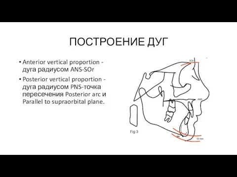 ПОСТРОЕНИЕ ДУГ Anterior vertical proportion - дуга радиусом ANS-SOr Posterior vertical proportion