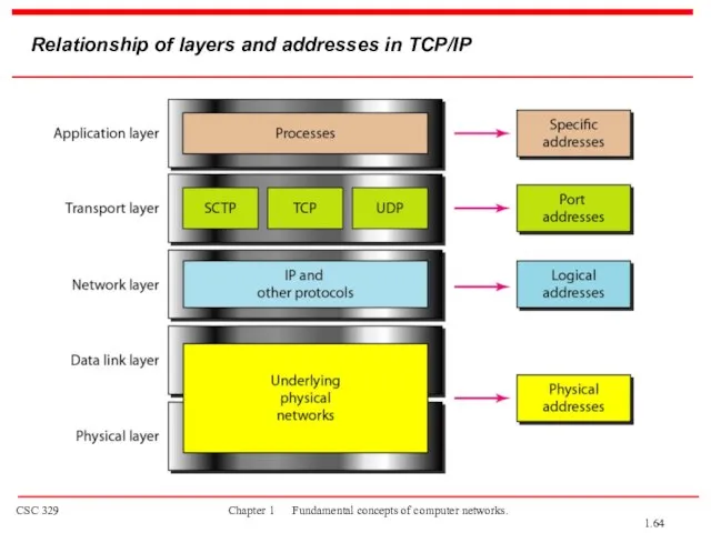 Relationship of layers and addresses in TCP/IP 1.