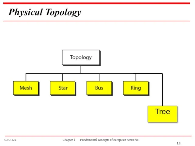 Physical Topology Tree 1.