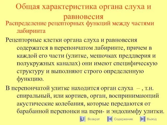 Общая характеристика органа слуха и равновесия Распределение рецепторных функций между частями лабиринта