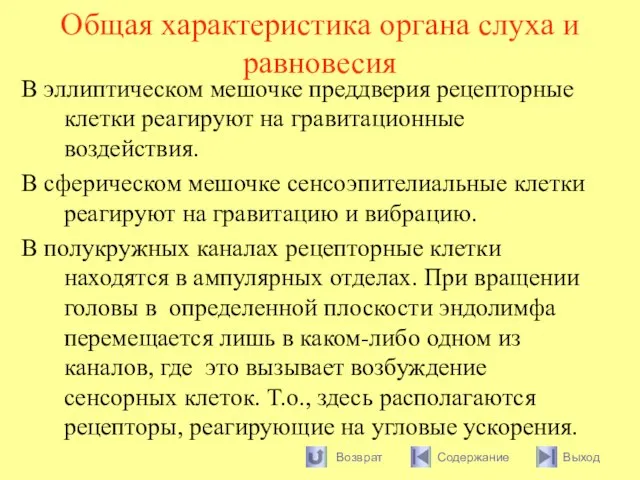 Общая характеристика органа слуха и равновесия В эллиптическом мешочке преддверия рецепторные клетки