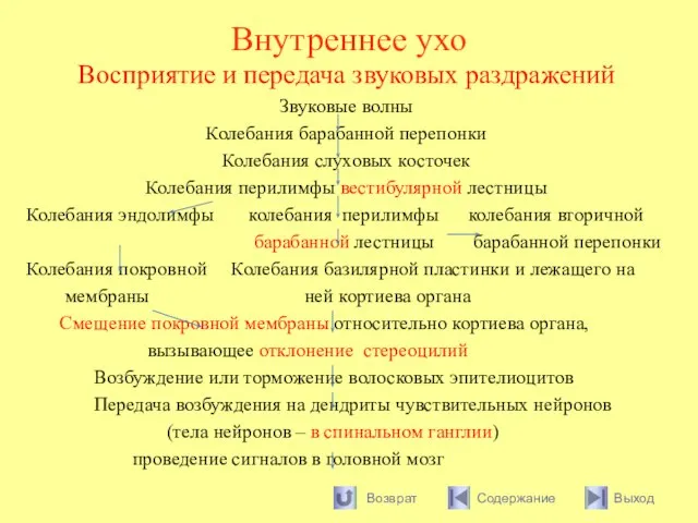 Внутреннее ухо Восприятие и передача звуковых раздражений Звуковые волны Колебания барабанной перепонки