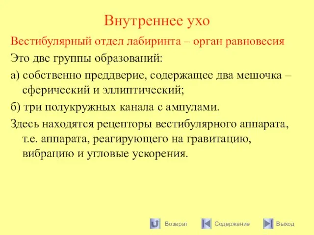 Внутреннее ухо Вестибулярный отдел лабиринта – орган равновесия Это две группы образований: