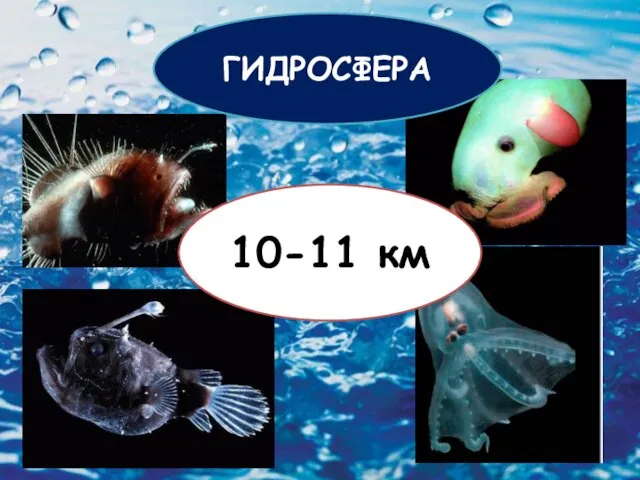 10-11 км ГИДРОСФЕРА