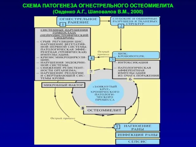 СХЕМА ПАТОГЕНЕЗА ОГНЕСТРЕЛЬНОГО ОСТЕОМИЕЛИТА (Овденко А.Г., Шаповалов В.М., 2000)