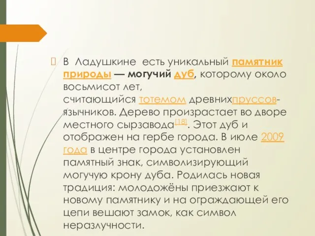 В Ладушкине есть уникальный памятник природы — могучий дуб, которому около восьмисот