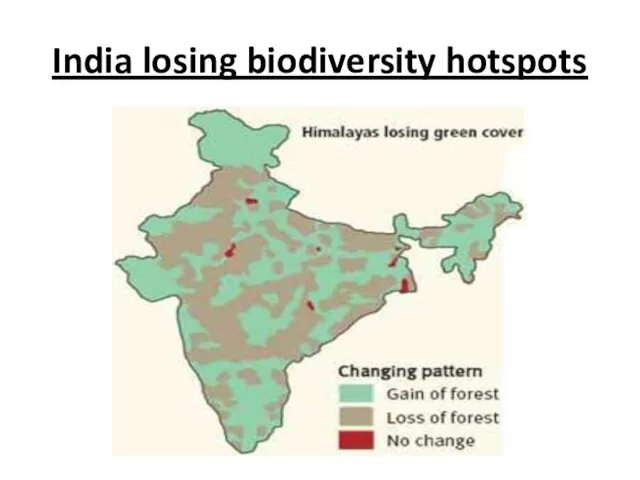 India losing biodiversity hotspots