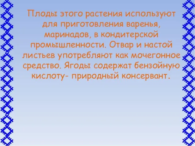 Плоды этого растения используют для приготовления варенья, маринадов, в кондитерской промышленности. Отвар