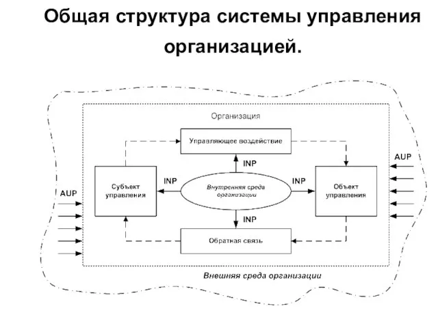 Общая структура системы управления организацией.