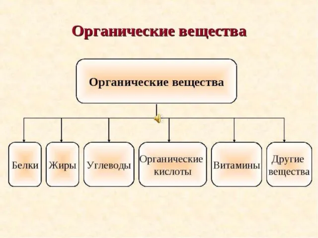 Белки – основа жизни