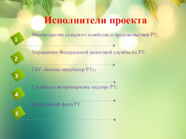 Исполнители проекта Министерство сельского хозяйства и продовольствия РТ; Управление Федеральной налоговой службы