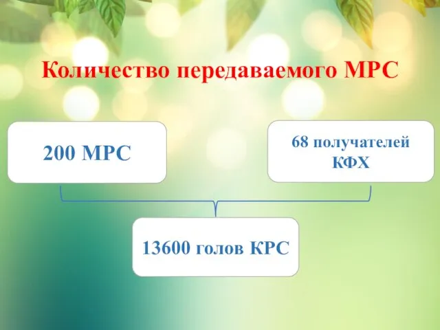 Количество передаваемого МРС 200 МРС 68 получателей КФХ 13600 голов КРС