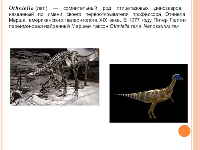 Othnielia (лат.) — сомнительный род птицетазовых динозавров, названный по имени своего первооткрывателя