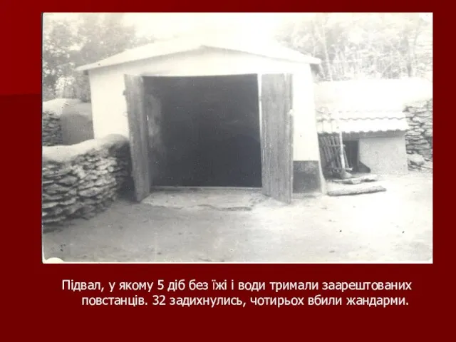 Підвал, у якому 5 діб без їжі і води тримали заарештованих повстанців.