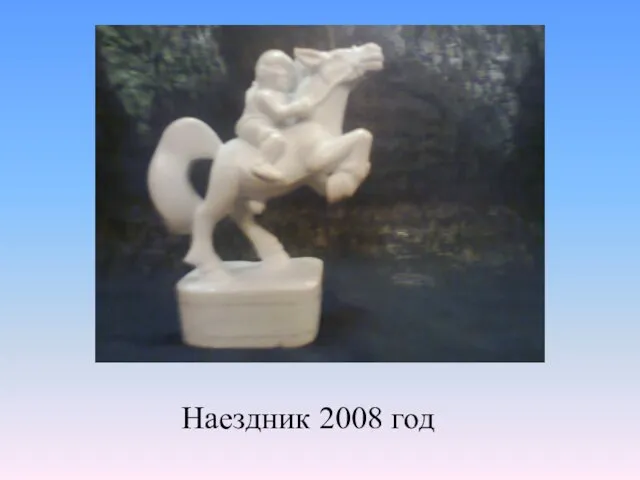 Наездник 2008 год