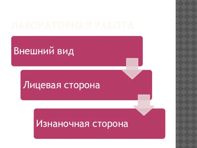 ЛАБОРАТОРНАЯ РАБОТА