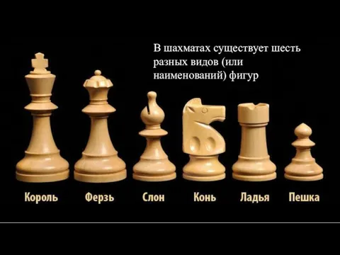 В шахматах существует шесть разных видов (или наименований) фигур
