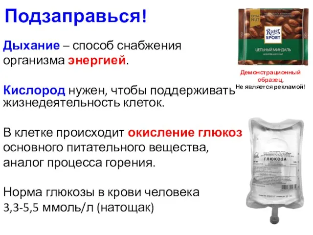 Подзаправься! Дыхание – способ снабжения организма энергией. Кислород нужен, чтобы поддерживать жизнедеятельность