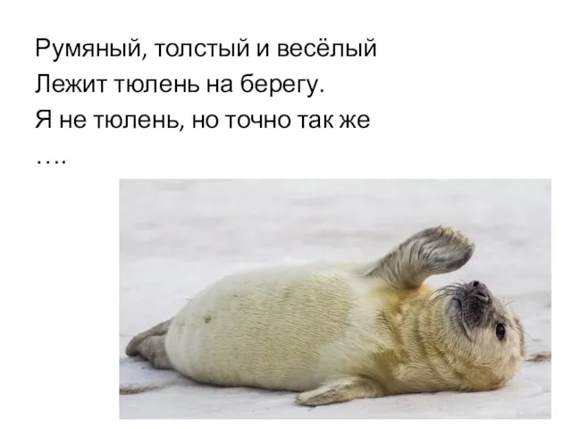 Румяный, толстый и весёлый Лежит тюлень на берегу. Я не тюлень, но точно так же ….