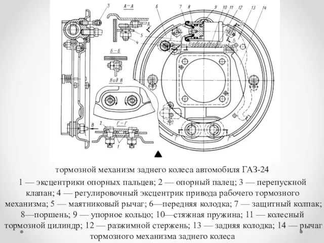 тормозной механизм заднего колеса автомобиля ГАЗ-24 1 — эксцентрики опорных пальцев; 2