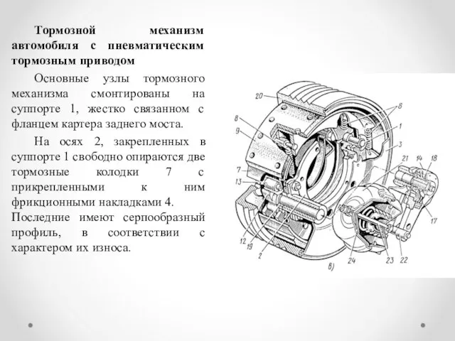 Тормозной механизм автомобиля с пневматическим тормозным приводом Основные узлы тормозного механизма смонтированы