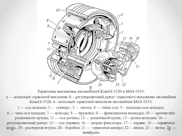 Тормозные механизмы автомобилей КамАЗ-5320 и МАЗ-5335: а — колесный тормозной механизм; б