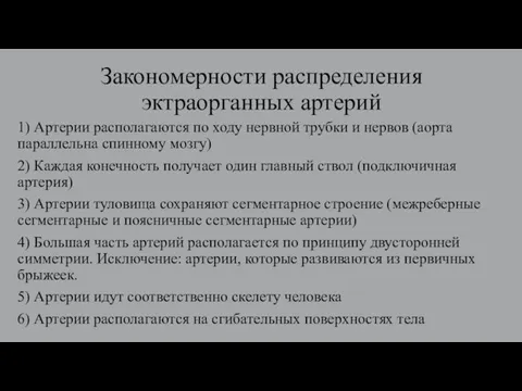 Закономерности распределения эктраорганных артерий 1) Артерии располагаются по ходу нервной трубки и