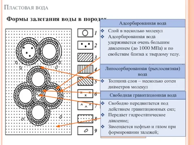 Формы залегания воды в породах Пластовая вода минеральные частицы пород минералы с