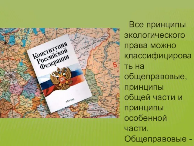 Все принципы экологического права можно классифицировать на общеправовые, принципы общей части и