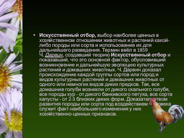 Искусственный отбор, выбор наиболее ценных в хозяйственном отношении животных и растений какой-либо