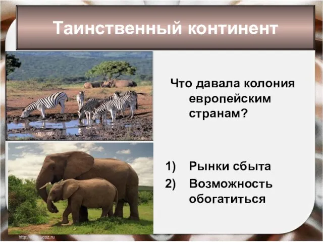 Что давала колония европейским странам? Рынки сбыта Возможность обогатиться Таинственный континент