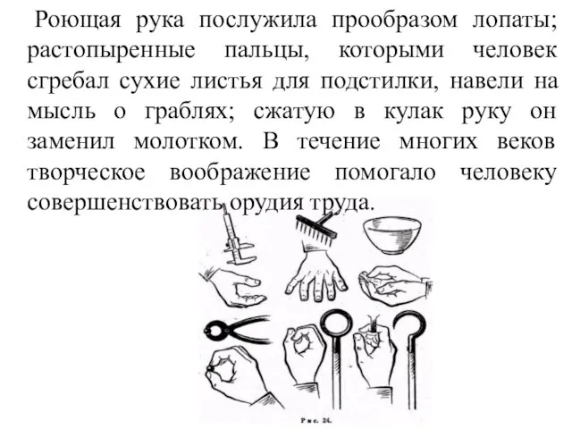 Роющая рука послужила прообразом лопаты; растопыренные пальцы, которыми человек сгребал сухие листья