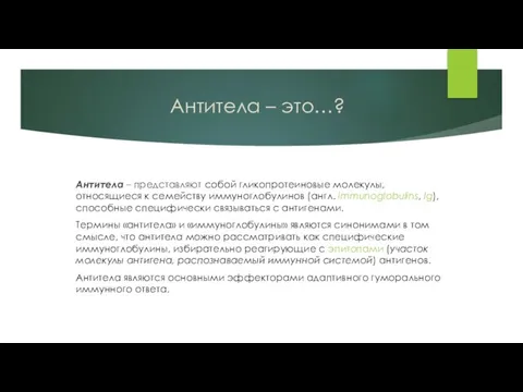 Антитела – это…? Антитела – представляют собой гликопротеиновые молекулы, относящиеся к семейству