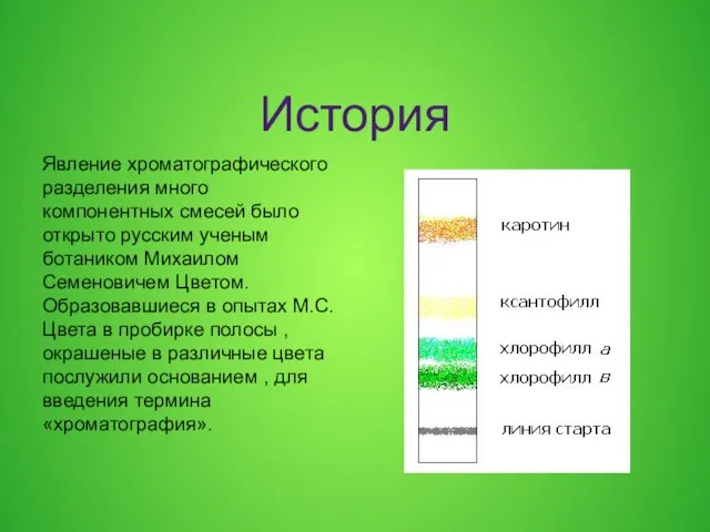 История Явление хроматографического разделения много компонентных смесей было открыто русским ученым ботаником