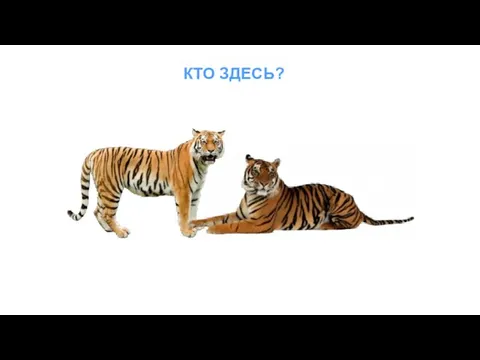 КТО ЗДЕСЬ?