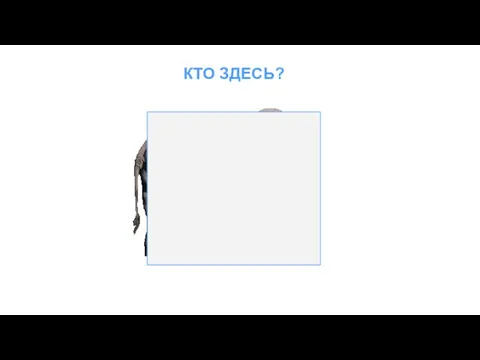 КТО ЗДЕСЬ?