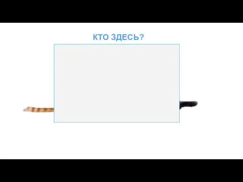 КТО ЗДЕСЬ?