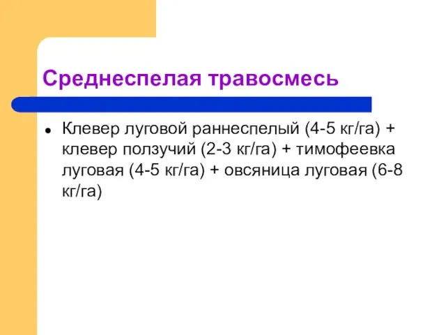 Среднеспелая травосмесь Клевер луговой раннеспелый (4-5 кг/га) + клевер ползучий (2-3 кг/га)