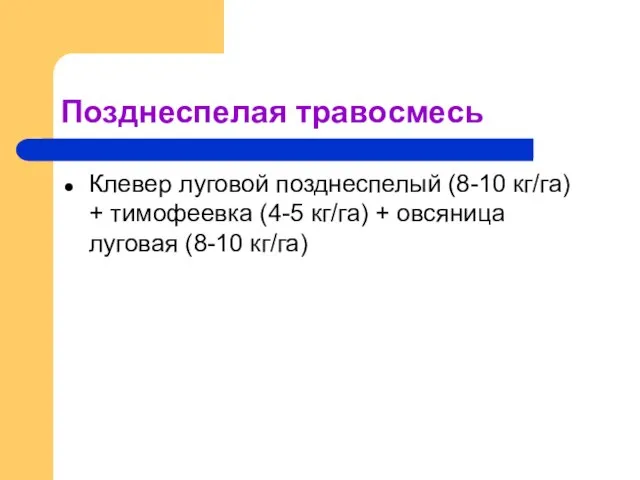 Позднеспелая травосмесь Клевер луговой позднеспелый (8-10 кг/га) + тимофеевка (4-5 кг/га) + овсяница луговая (8-10 кг/га)