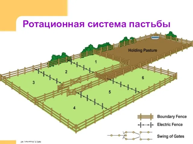 Ротационная система пастьбы NRCS, Bozeman, MT