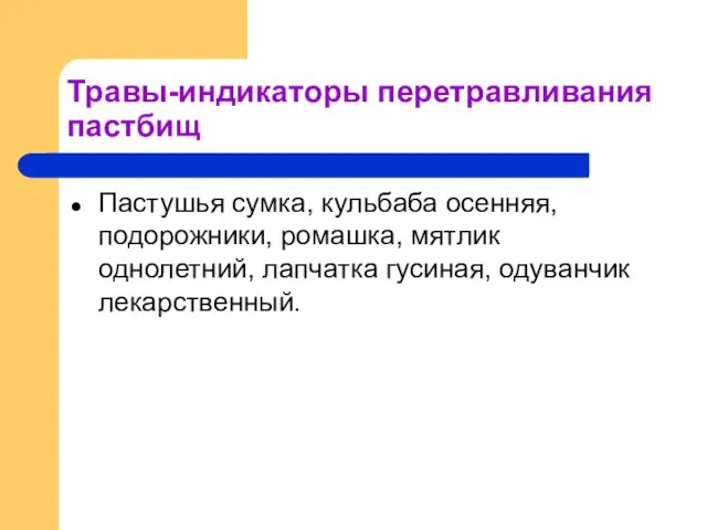 Травы-индикаторы перетравливания пастбищ Пастушья сумка, кульбаба осенняя, подорожники, ромашка, мятлик однолетний, лапчатка гусиная, одуванчик лекарственный.