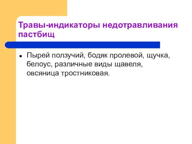 Травы-индикаторы недотравливания пастбищ Пырей ползучий, бодяк пролевой, щучка, белоус, различные виды щавеля, овсяница тростниковая.