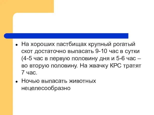 На хороших пастбищах крупный рогатый скот достаточно выпасать 9-10 час в сутки