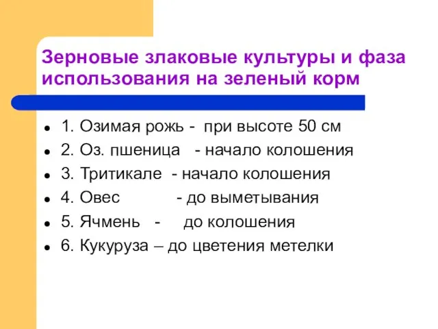 Зерновые злаковые культуры и фаза использования на зеленый корм 1. Озимая рожь