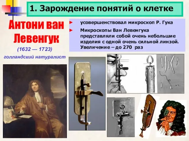 1. Зарождение понятий о клетке Антони ван Левенгук (1632 — 1723) голландский