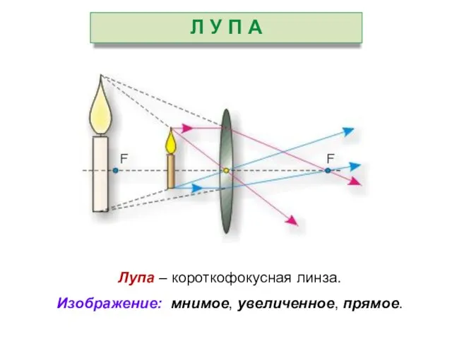 Лупа – короткофокусная линза. Изображение: мнимое, увеличенное, прямое. Л У П А