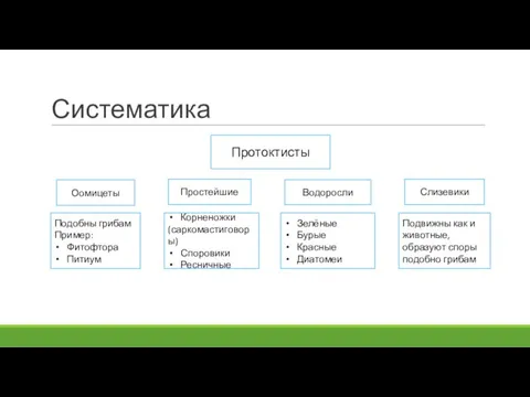 Систематика Протоктисты