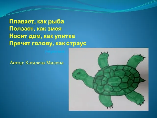 Плавает, как рыба Ползает, как змея Носит дом, как улитка Прячет голову,